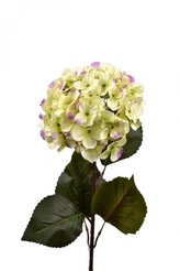 Umělá hortenzie zeleno-fialová 75 cm