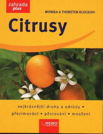 Citrusy