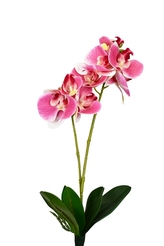 Umělý Phalaenopsis světle růžový 50 cm