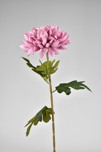 Chryzantéma lila 75 cm