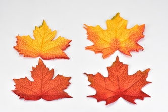 Listy javoru Acer A sada 12 ks