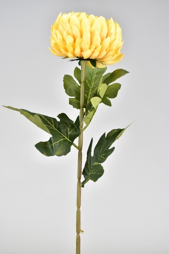 Chryzantéma světle oranžová 72 cm