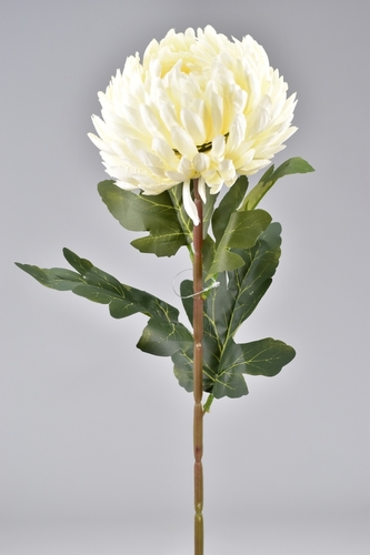 Chryzantéma krémová 72 cm