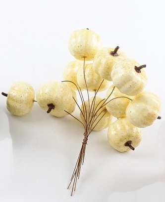 Krémová dýně zápich, svazek 12 ks