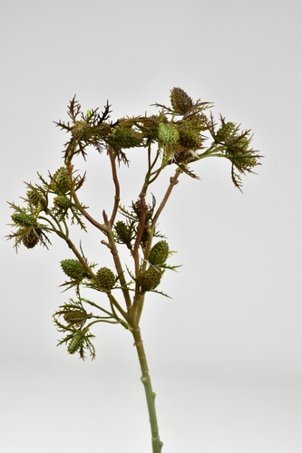 Umělá květina bodlák zelený 55 cm