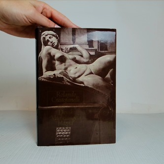 Deník Michelangela blázna