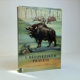 V Bělověžském pralese