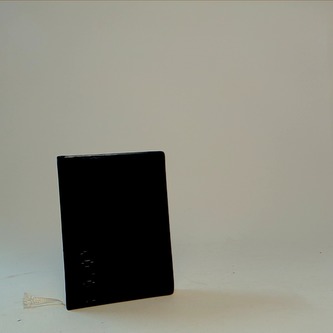 Tobě, mladý kamaráde