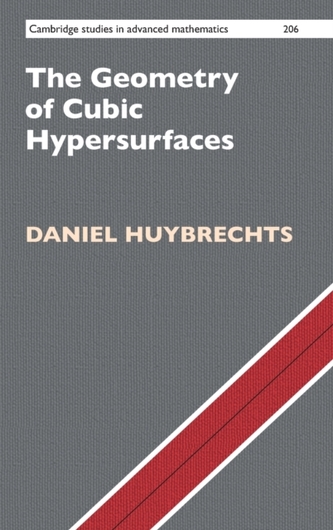 The Geometry of Cubic Hypersurfaces