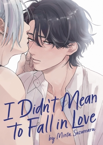 I Didn´t Mean to Fall in Love I Didn´t Mean to Fall in Love