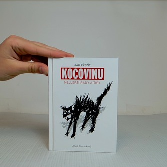 Jak přežít kocovinu