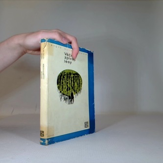 Věčně zpívají lesy