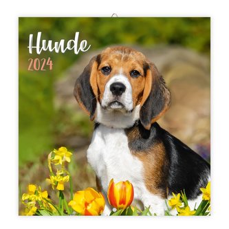 Trötsch Broschürenkalender Hunde 2024