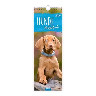 Trötsch Streifenkalender Hunde 2024 - Notizkalender
