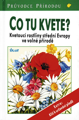 Co tu kvete?