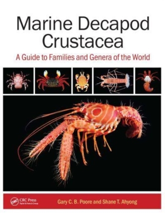 Marine Decapod Crustacea Marine Decapod Crustacea