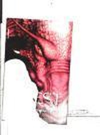 Eldest (Spanish Edition)