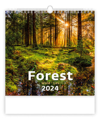 Forest/Wald/Les - nástěnný kalendář 2024