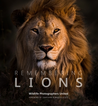 Remembering Lions Remembering Lions