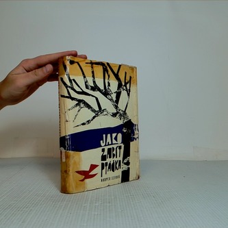 Jako zabít ptáčka