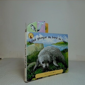 Bébé phoque au bord de l'eau