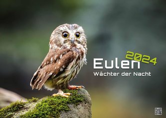 Eulen - Wächter der Nacht - 2024 - Kalender DIN A2