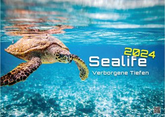 Sealife - verborgene Tiefen - 2024 - Kalender DIN A3
