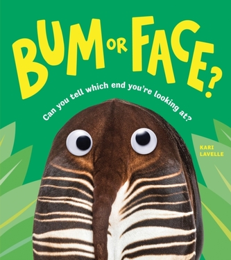 Bum or Face Bum or Face