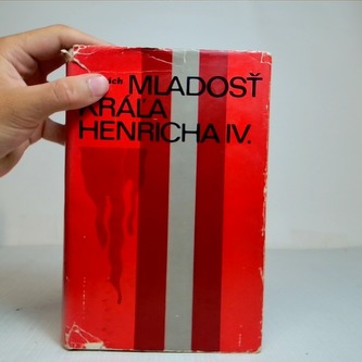 Mladosť kráľa Henricha IV.