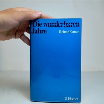 Die wunderbaren Jahre