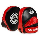 Boxerské lapy DBX BUSHIDO ARF-1118a