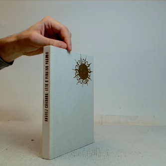 Léto z pihatou pannou