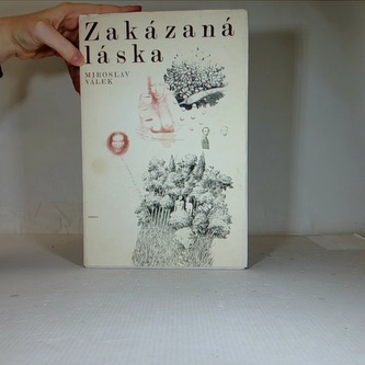 Zakázaná láska
