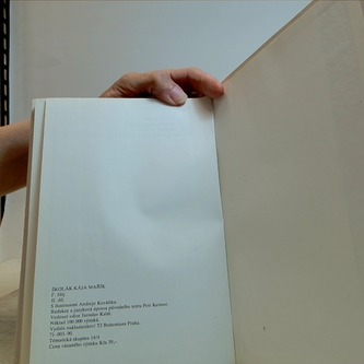 Školák Kája Mařík II. díl