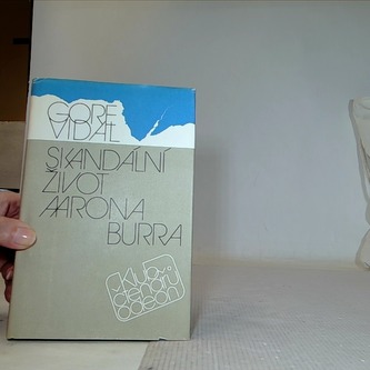 Skandální život Aarona Burra