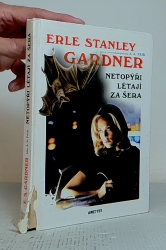 Netopýři létají za šera