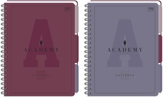 Kołozeszyt A4/100K kratka Academy (5szt)