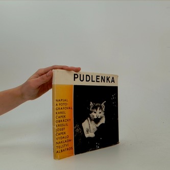 Pudlenka