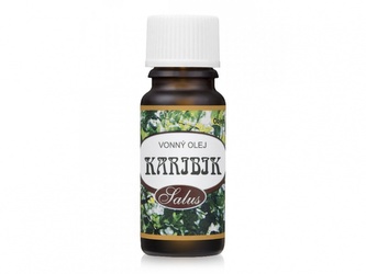 Vonný olej Karibik 10ml