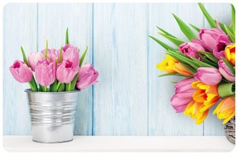 prostírání 43x28cm TULIPÁNY, plast