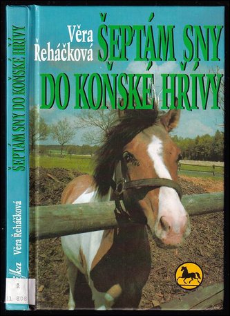 Šeptám sny do koňské hřívy