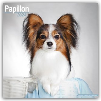 Papillon 2024 - 16-Monatskalender