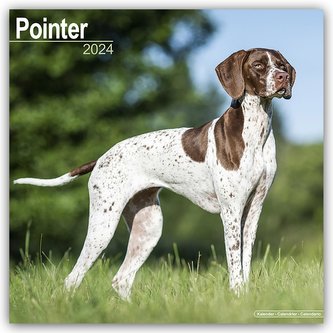 Pointer 2024 - 16-Monatskalender