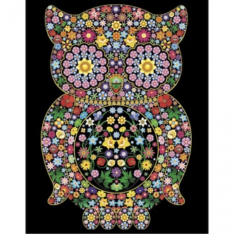 Colorvelvet Sametový obrázek Sova 47x35cm