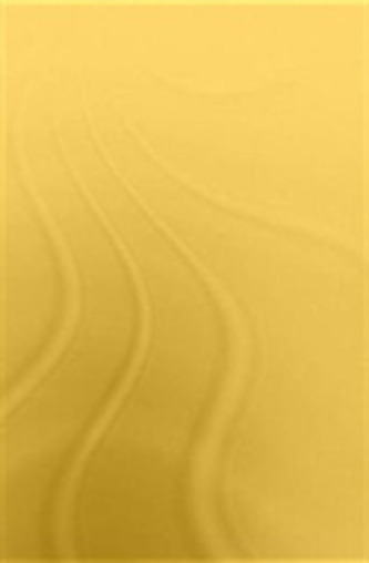 Perspectives on Early Islamic Mysticism