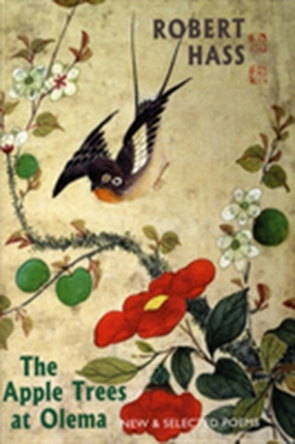 The Apple Trees at Olema