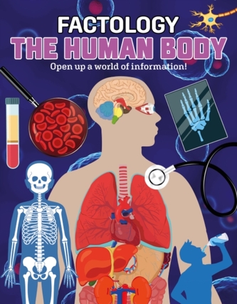 The Human Body