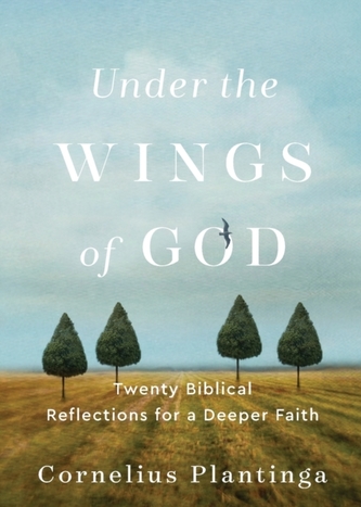 Under the Wings of God - Twenty Biblical Reflections for a Deeper Faith Under the Wings of God - Twenty Biblical Reflections for a Deeper Faith
