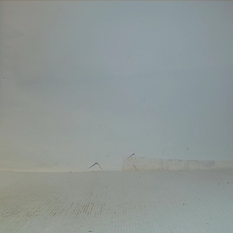 Pěstování jabloní