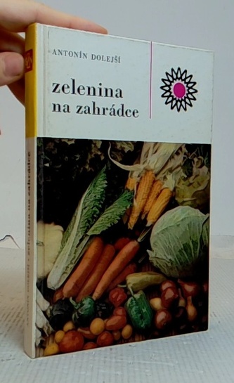 Zelenina na zahrádce
